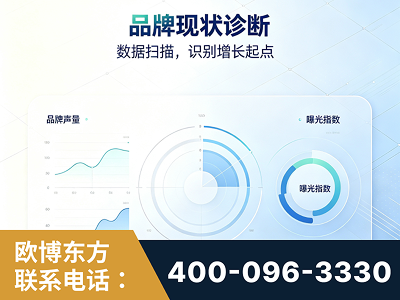 清镇-品牌现状诊断